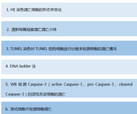 細(xì)胞、組織TUNEL凋亡染色實(shí)驗(yàn)服務(wù)